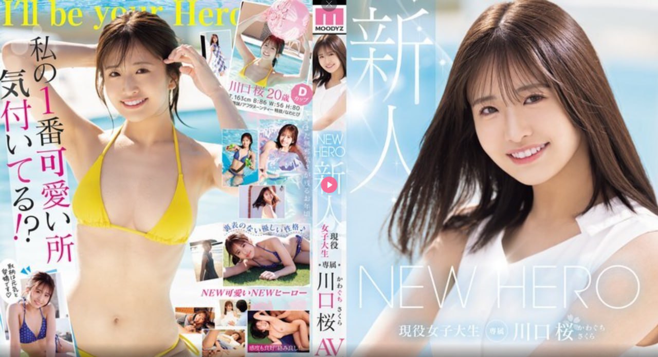 色狗avハーレム学園プレミアム シリーズ
